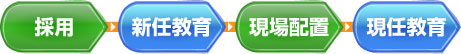 採用→新任教育→現場配置→現任教育